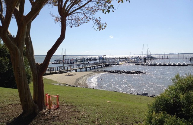 Walk to beach, cozy, lovely room in "Kingsmill on the James"