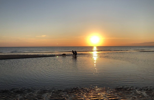 Walk to Beach! Dog Friendly! Nicely Renovated Cottage. Close to Cape May. WiFi!