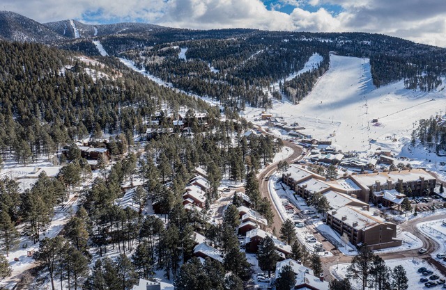 Walk to lift cozy condo at Chalets!