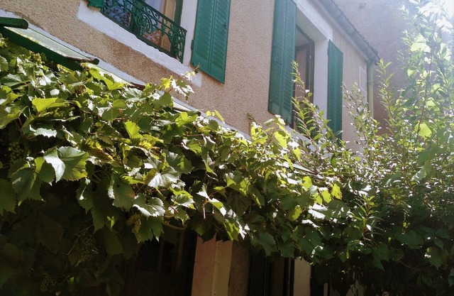 Warm house, free wifi, private garden with flowers, 20 min. from Vézelay.