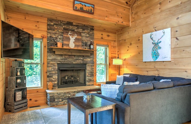 Waterfall Cabin | Creekside Retreat w/Hot Tub + Views + Biltmore Pass