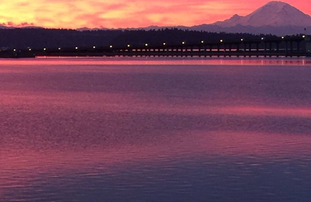 Waterfront Sunrise private retreat with electric bike, kayaks, SUP, BBQ, views