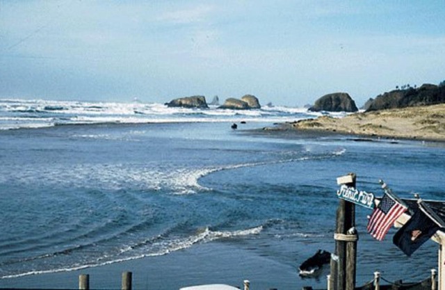 Webb's Scenic Surf