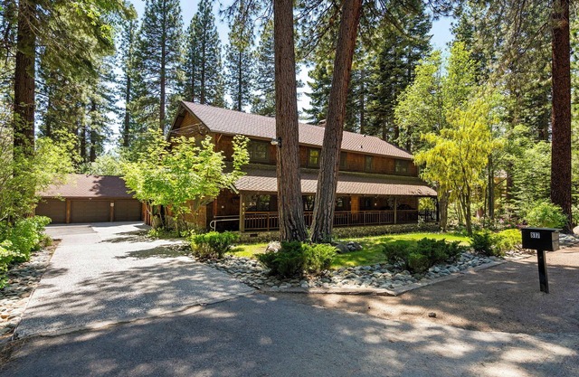 Welcome to the Ponderosa Pine property