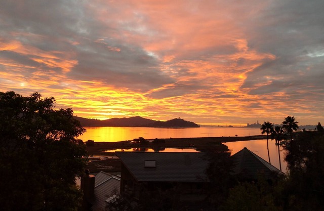 Welcome to your San Francisco Bay oasis!