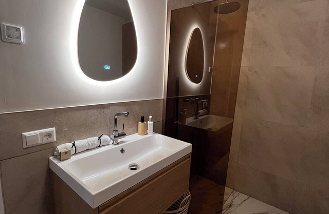 Wellness-Loft: sauna, jacuzzi& cinema. Centrally located near the station