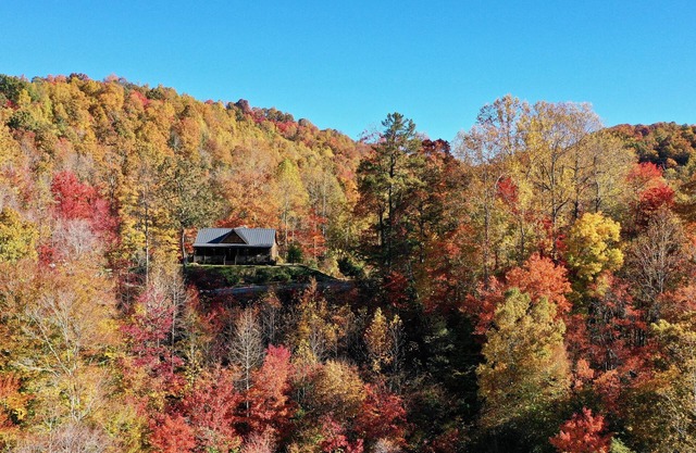 Whispering Falls Cabin - hot tub, views, 15 acres, minutes from Main St.