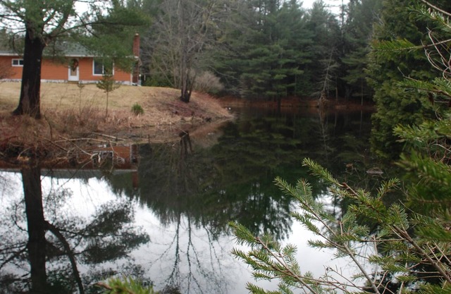 WHISPERING PINES COTTAGE-The Most Beautiful Place in America-Sleeping Bear Park