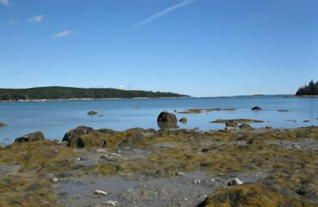 White Birch Cottage - Webb Cove