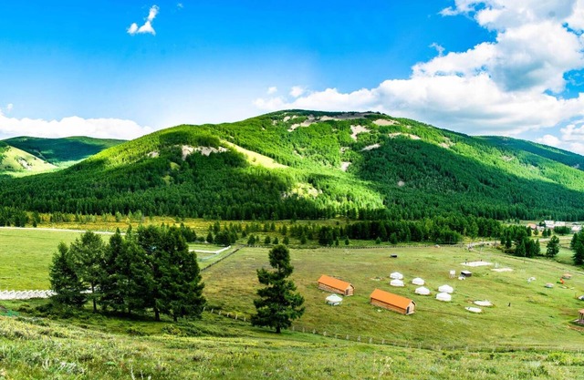 Wild nature, Silent and peaceful, Fresh air
