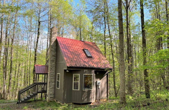 Wildcat Forest - a tiny cabin with lots of charm, by Buffalo Mountain Getaway