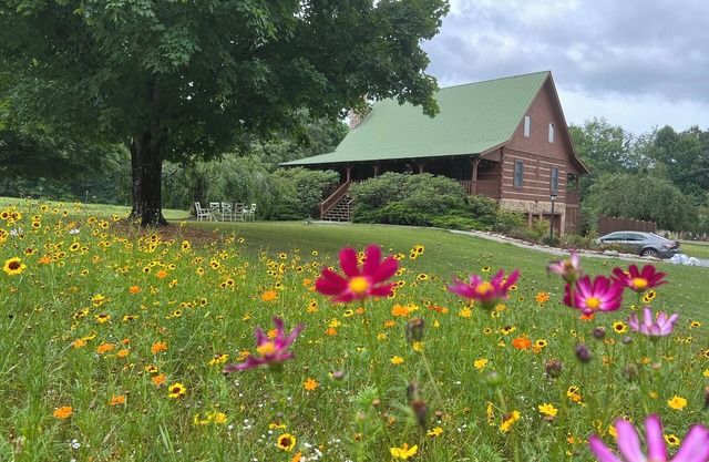 Willow Tree Retreat Damascus, VA