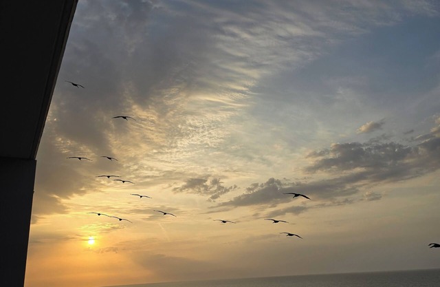Windemere1406 Penthouse level 2BR/2BA beachfront condo with amazing gulf views!