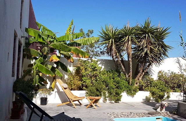 Winery Villa. Old winery converted into a stylish traditional villa with pool