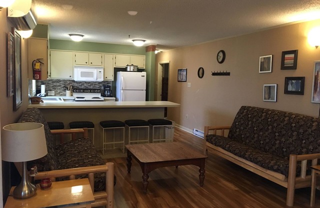 Winterplace Condo E301