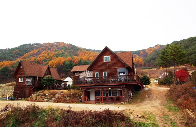 "WON" Suite Liun Pine Tree Cabin