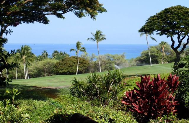 Wonderful Ocean View –Totally Renovated-On Golf Course