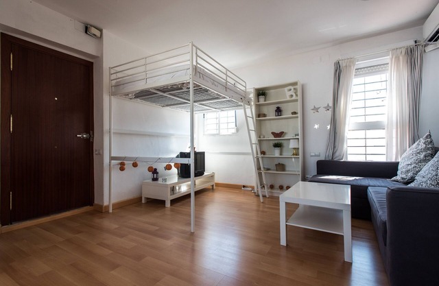 Wonderful Penthouse With Views of the Giralda