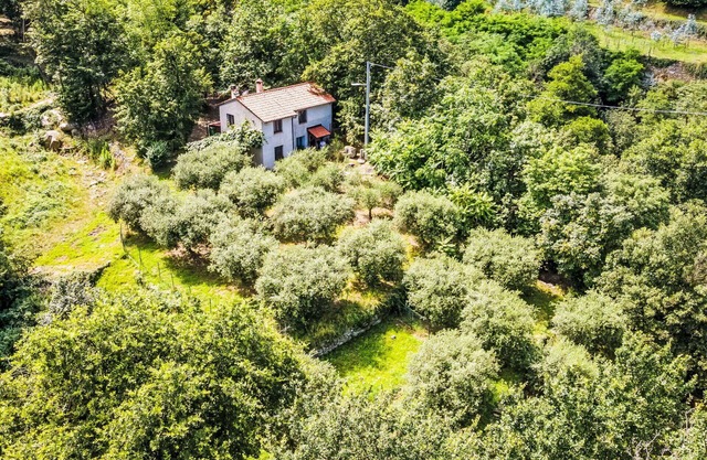 Wonderful private villa for 6 guests with WIFI, TV, patio and pets allowed