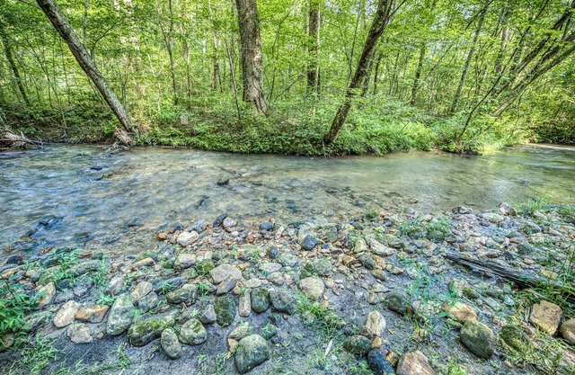 Wooded Seclusion, Private Creekside Oasis, 3 Dogs Welcome, 2 Fenced Acres