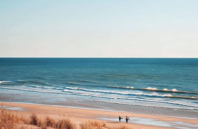 Wooden house at the foot of the dune (plage de l'écureuil) + Spa