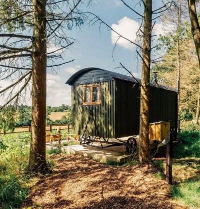 Woodland Cotswold Shepherds Hut