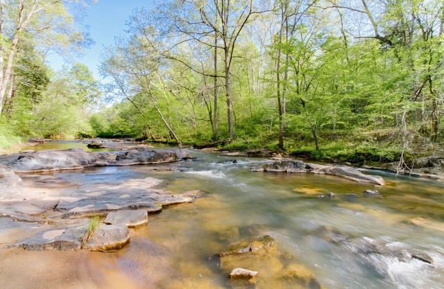 Woods & Water to Explore just 20 mins to Liberty Univ - 10 to Downtown Lynchburg