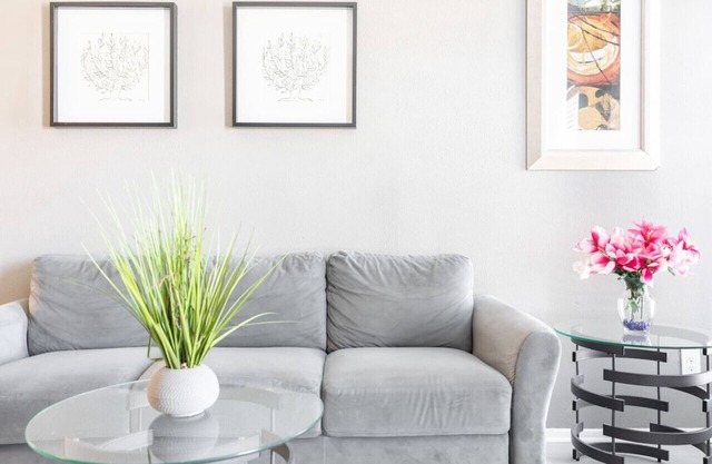 Work Remotely in this Affordable 1 Bed 1 Bath!