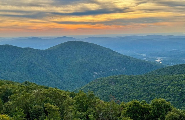 Wow! What A View!
