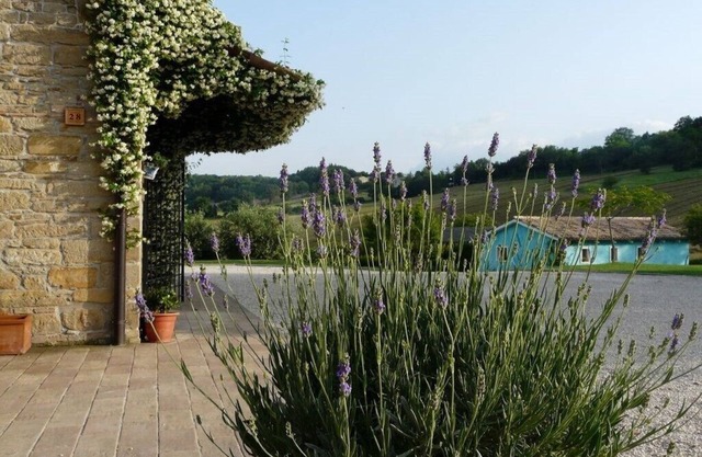 Your Country House with pool in the green