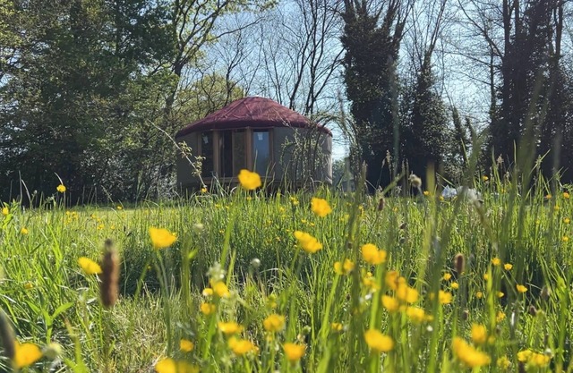 Yourte in Corrèze - La Main Sauvage