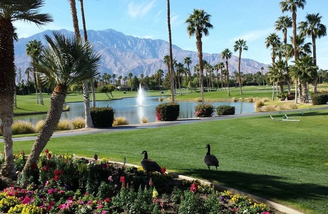 Zen Like-Luxury Desert Princess Palm Springs Condo with Great View