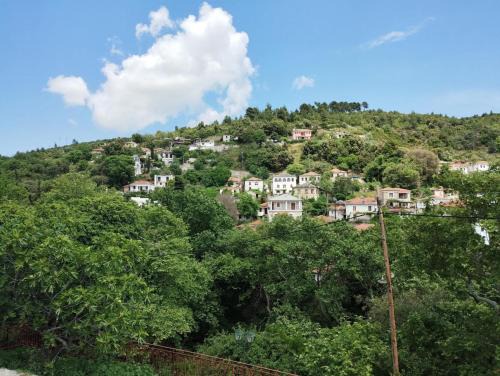 Zina's Cottage in Afetes
