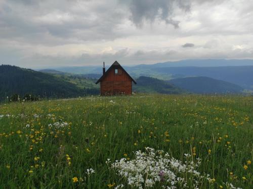 Zlatarski raj