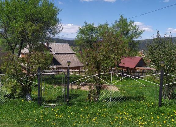 Зорецвіт