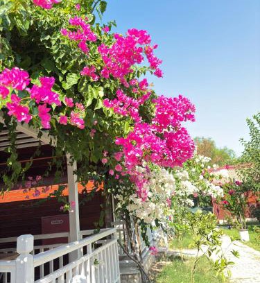 Cirali Villa | ŞAH apart