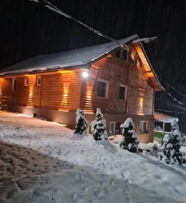 Central Serbia House | Šumska vila Gašić