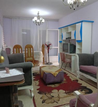 Sheikh Zayed City Apartment | شقه الشيخ زايد غرفتين