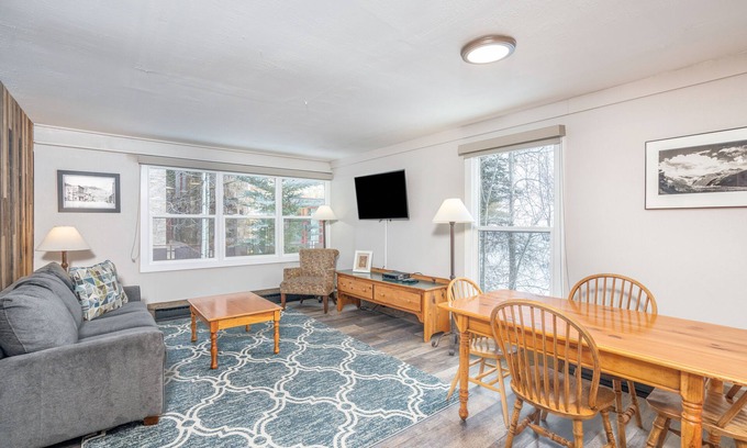 Telluride Condo | 1-Bedroom Pet-Friendly Unit at the Mountainside Inn