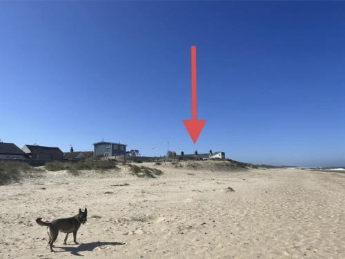 Caister-on-Sea House | 1 Coast Guard Road