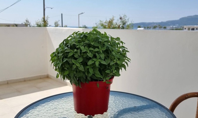 Faliraki House | 12 senses Faliraki