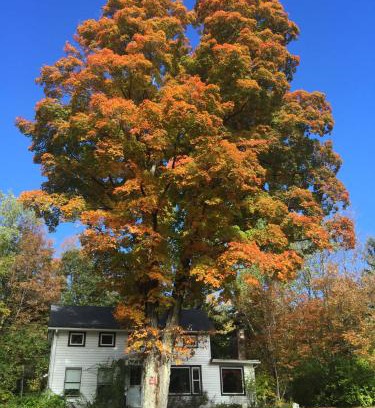 Tannersville House | 1894 Catskills Farmhouse Retreat