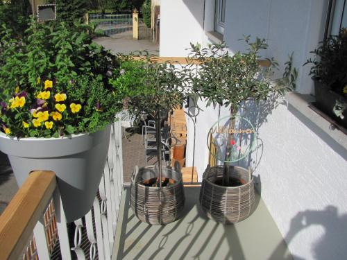 Unterallgau Apartment | #1Gemütliches ruhiges sonniges Balkonzimmer mit Gemeinschaftsbad W-Lan Airport nah Late Night Check in Haus Nr 9,5