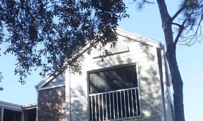 Park Central Apartment | 2 Bedroom Single family 441940 by Houzlet