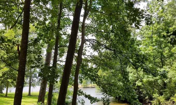 Hemphill Cottage | 2 story cottage 2 bedroom 1 bath lake access seasonal. Six Mile on Toledo