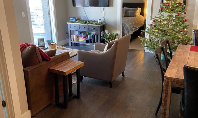 Crested Butte Condo | 207 Timbers Condominium