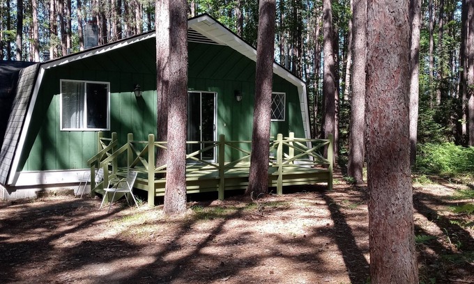 Oscoda County Cabin | 2bed Up North Cabin with hiking area -5 min to Au Sable river, orv trails & golf