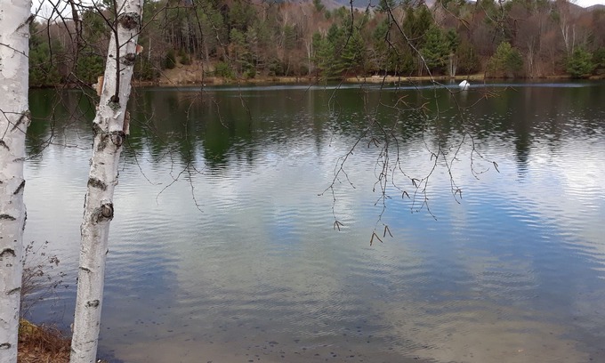 North Woodstock House | 2BR condo near Recreation Center, pool, hot tub and many more