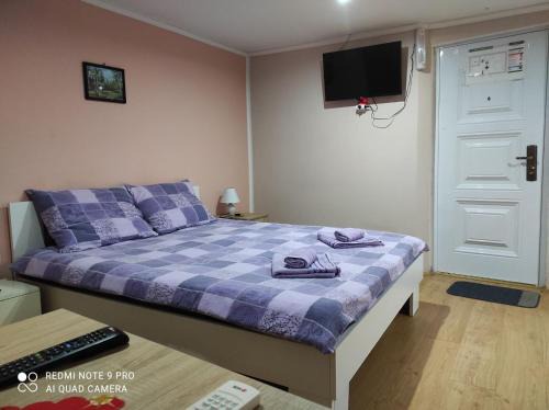 Vrdnik Apartment | 3 Andjela