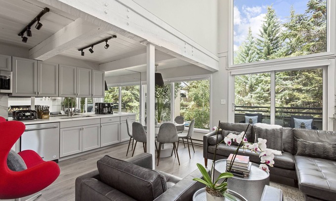 Aspen Condo | 3 Bed/3 Bath In Town Aspen Luxury King & 2 Queen Bed W/D AC Parking Balcony Wifi